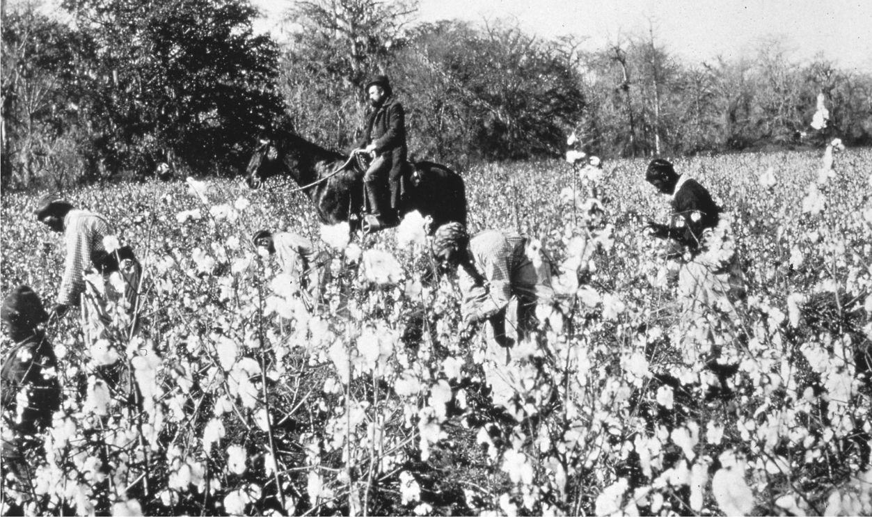 Cotton_pickers