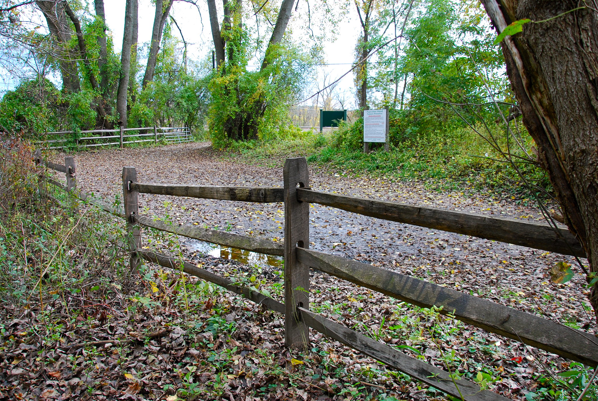 Papscanee Island Nature Preserve