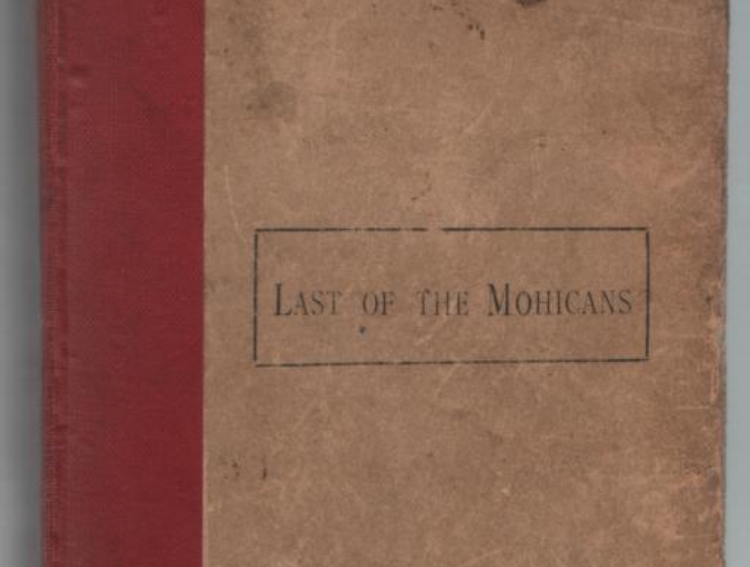 Cover of 1893 British edition of The Last of the Mohicans