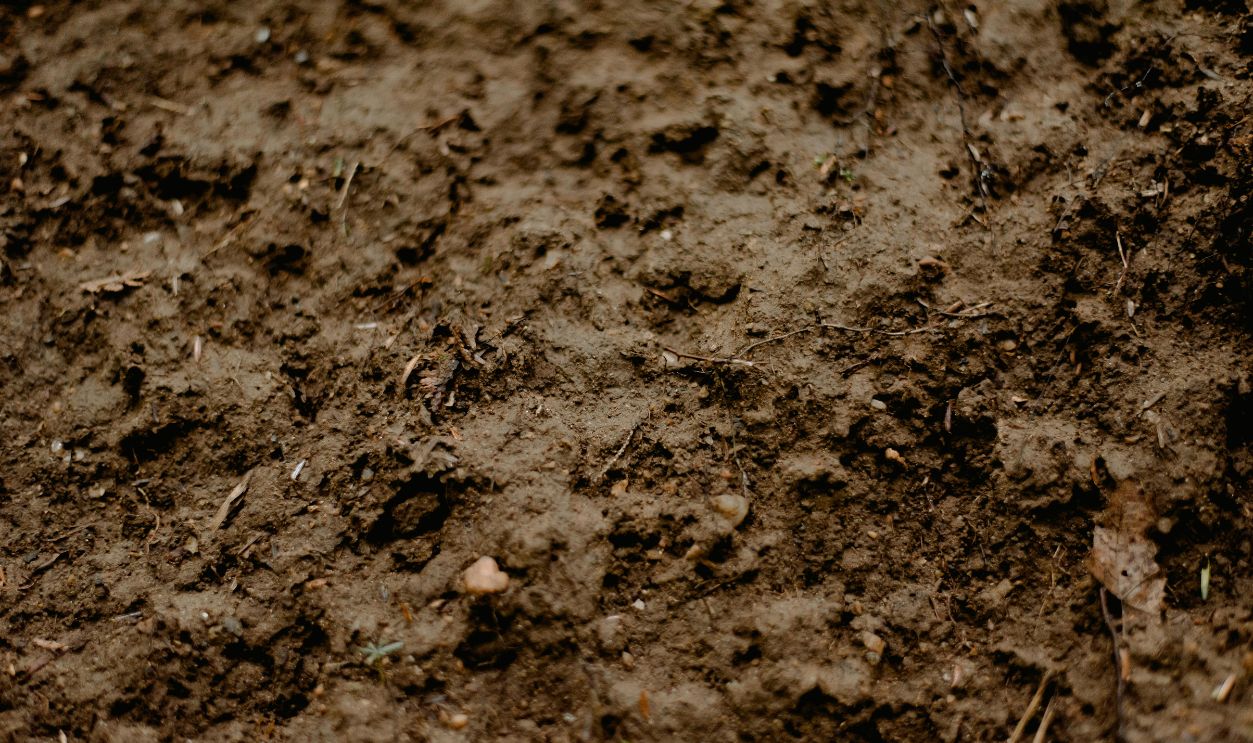 Soil
