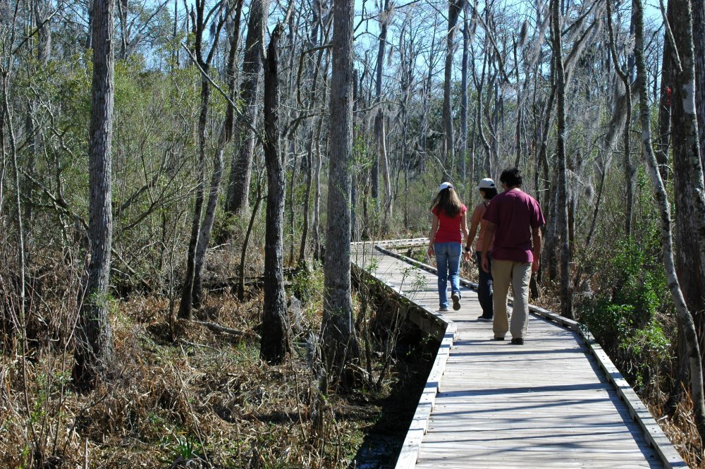 The view at Fairview-Riverside State Park, in Madisonville, Louisiana