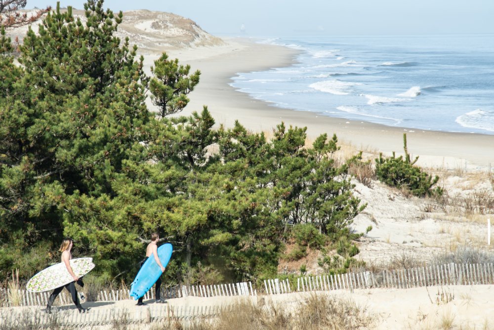 Two surfers walk trail to beach at Herring Point, Cape Henlopen State Park, Delaware