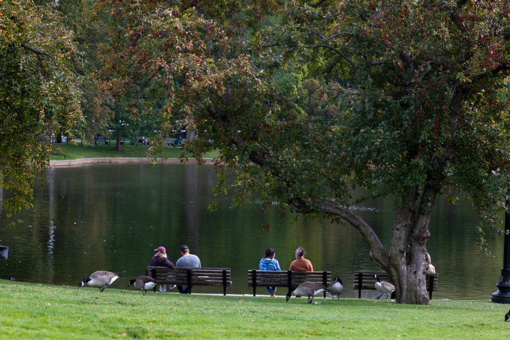 People sitting on a bench in front of a lake, Boston Commons