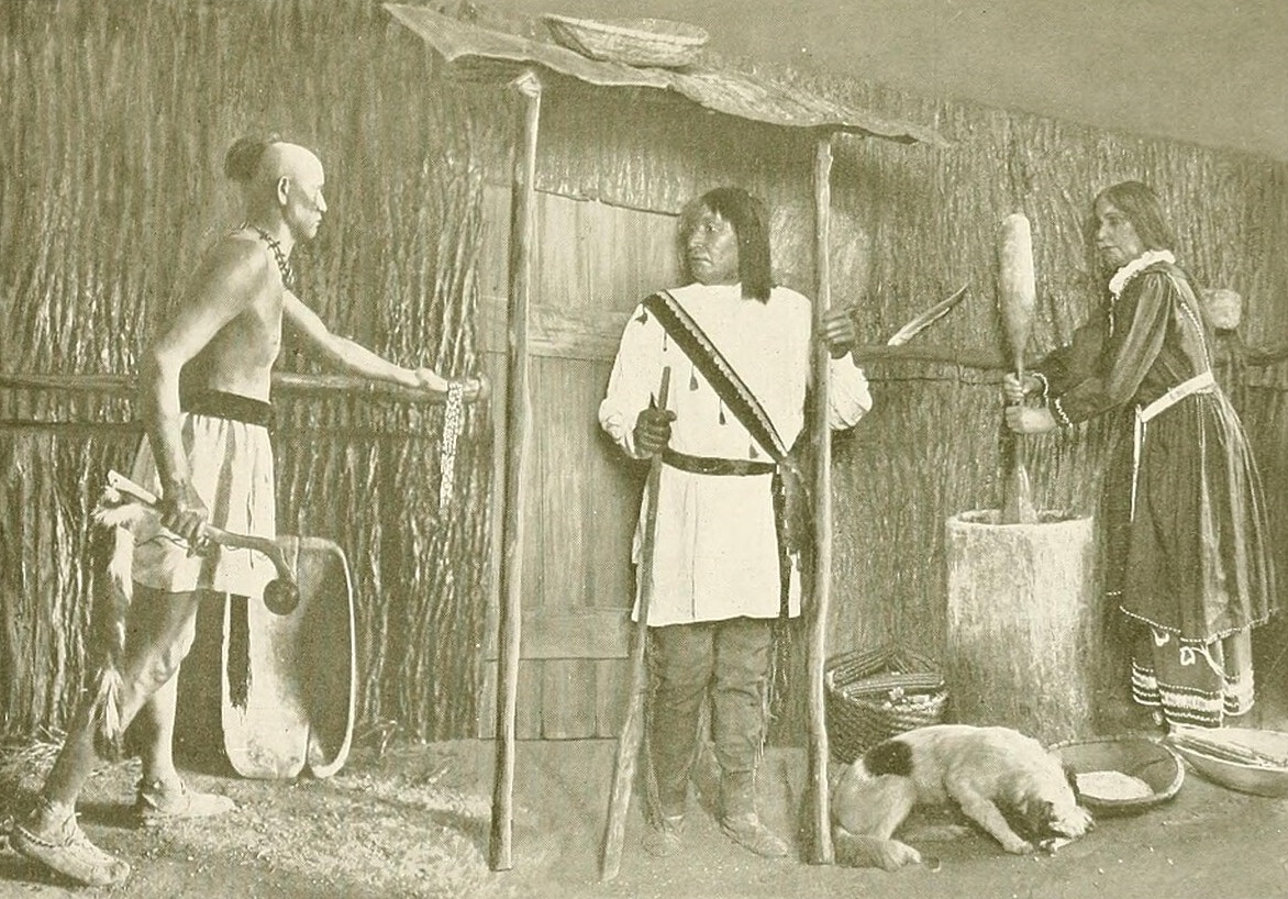 Iroquois Indian Group