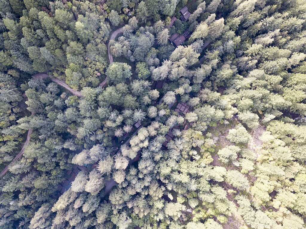 Aerial Image of Bohemian Grove Buildings in the Marin County