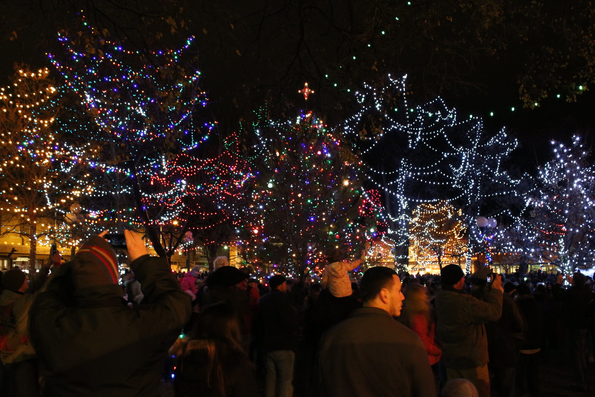 Lighting of the Christmas lights, Santa Fe Plaza, 11/27/15.