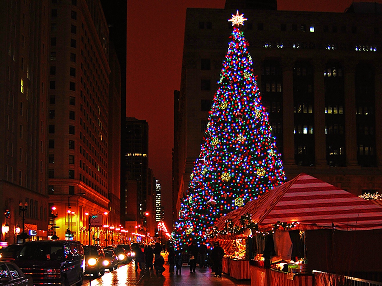 The Official Chicago Christmas Tree located in Daley Plaza - 2008