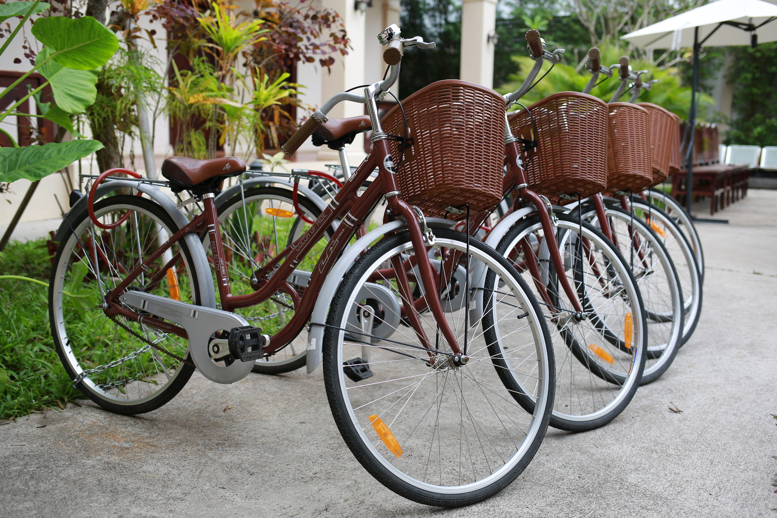 Hotel Bicycles outside.