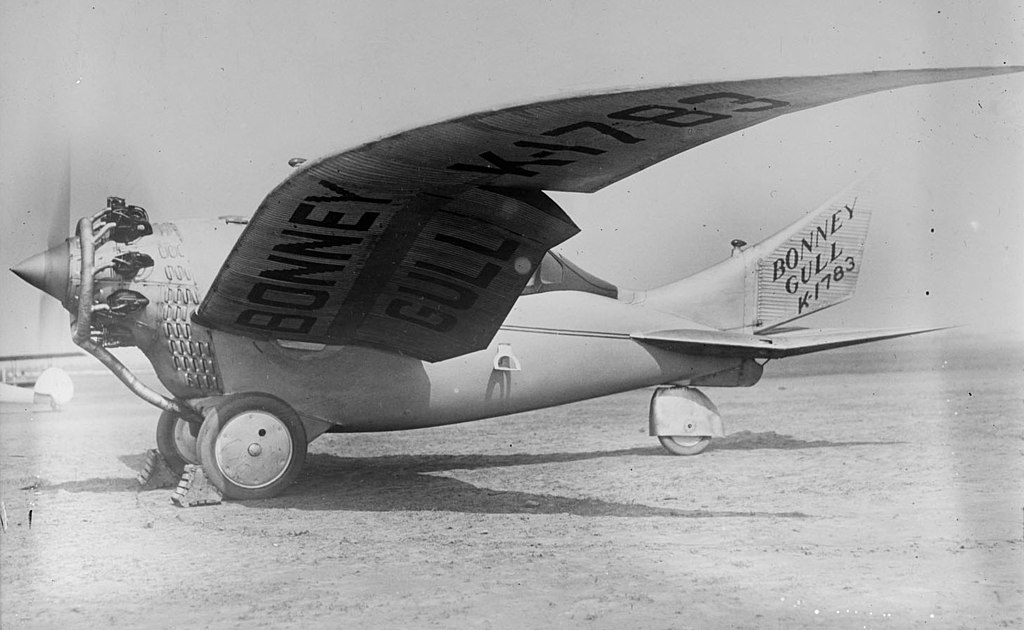 Bonney Gull Before It Crashed & Killed Its Maker