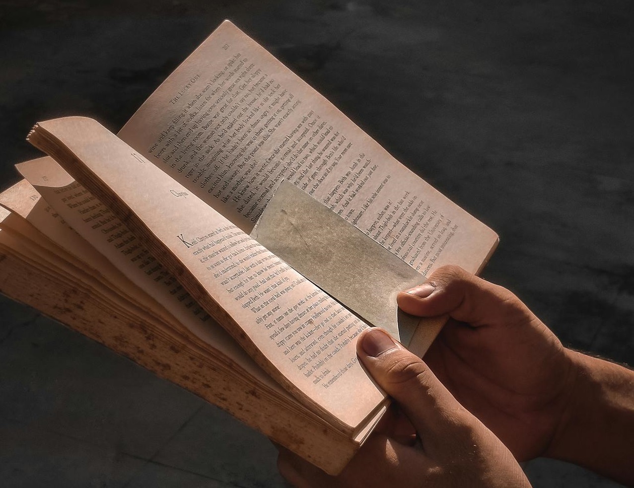 A Person Reading a Book