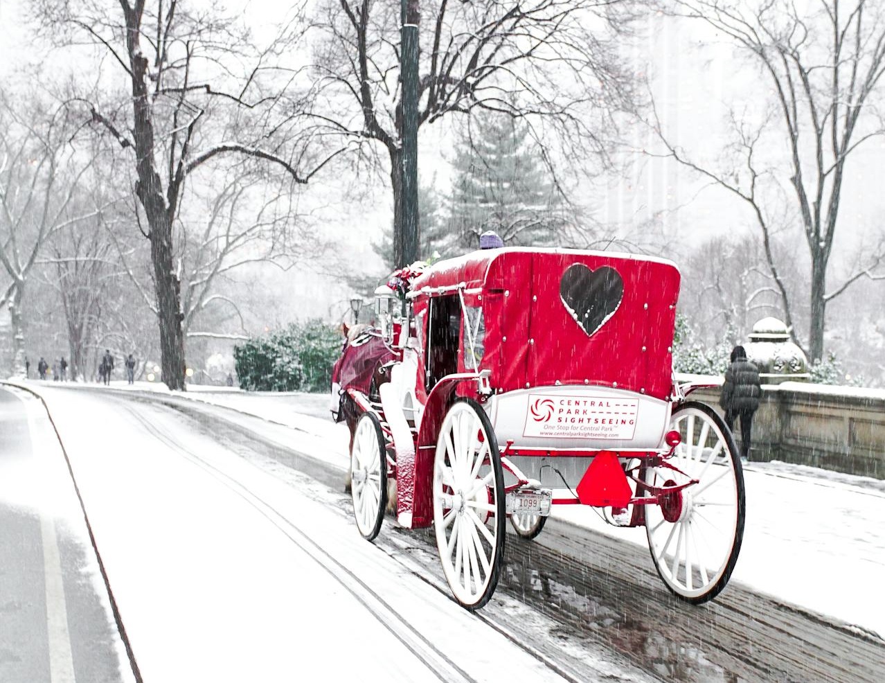 Carriage in winter city park on foggy day