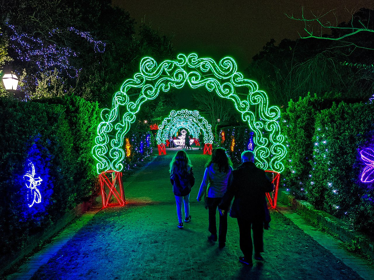 Tunnel Of Light - Celebration In The Oaks, New Orleans