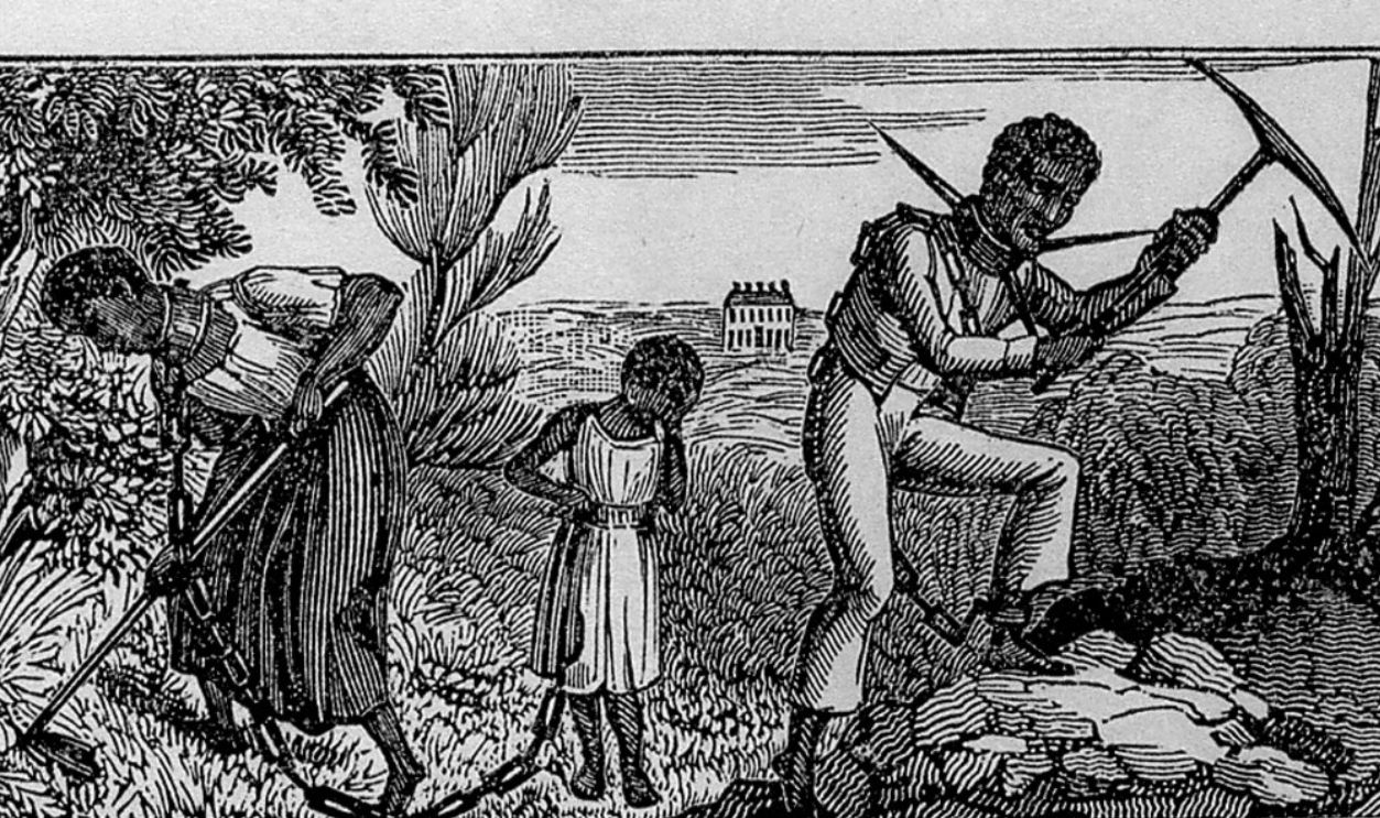 Slave on Mount Vernon