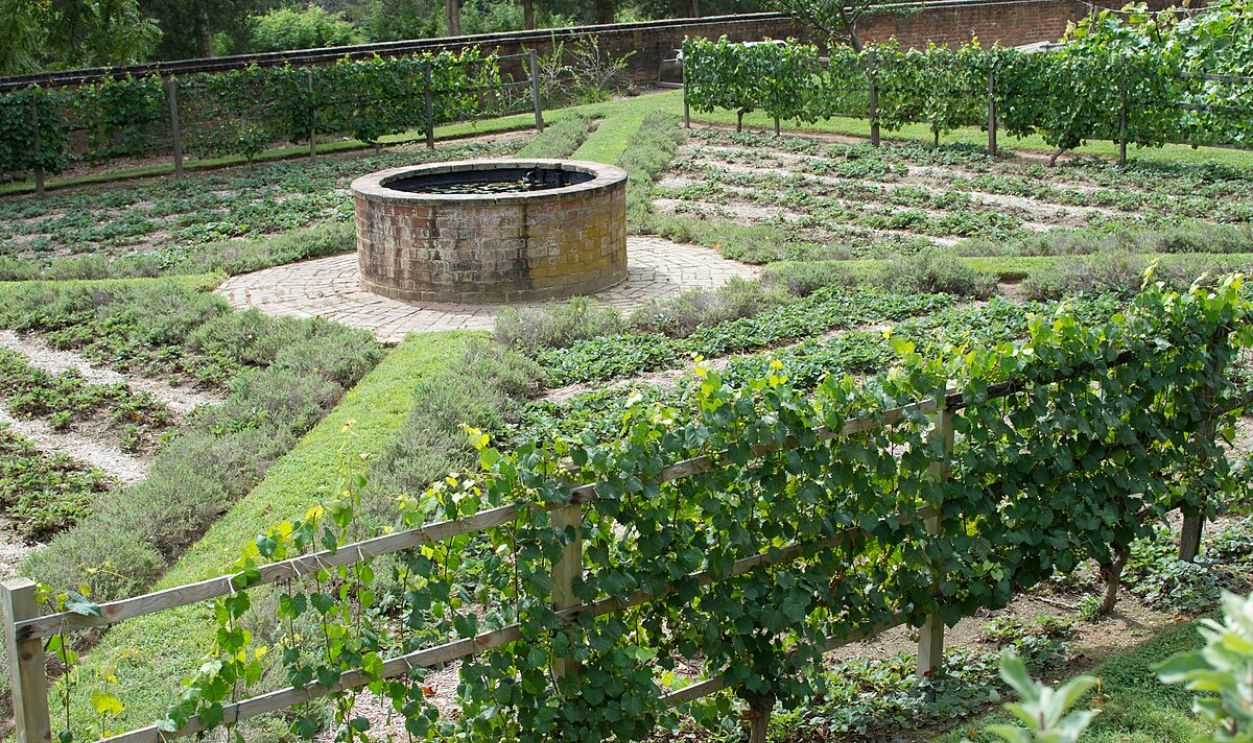 Slave on Mount Vernon