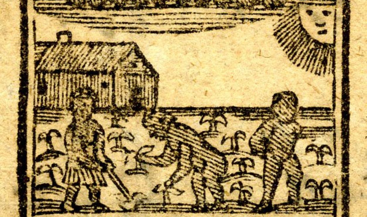 Best_Virginia_tobacco