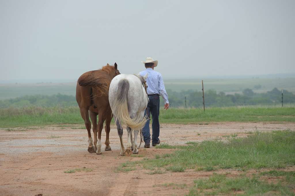 Birdwell Clark Ranch