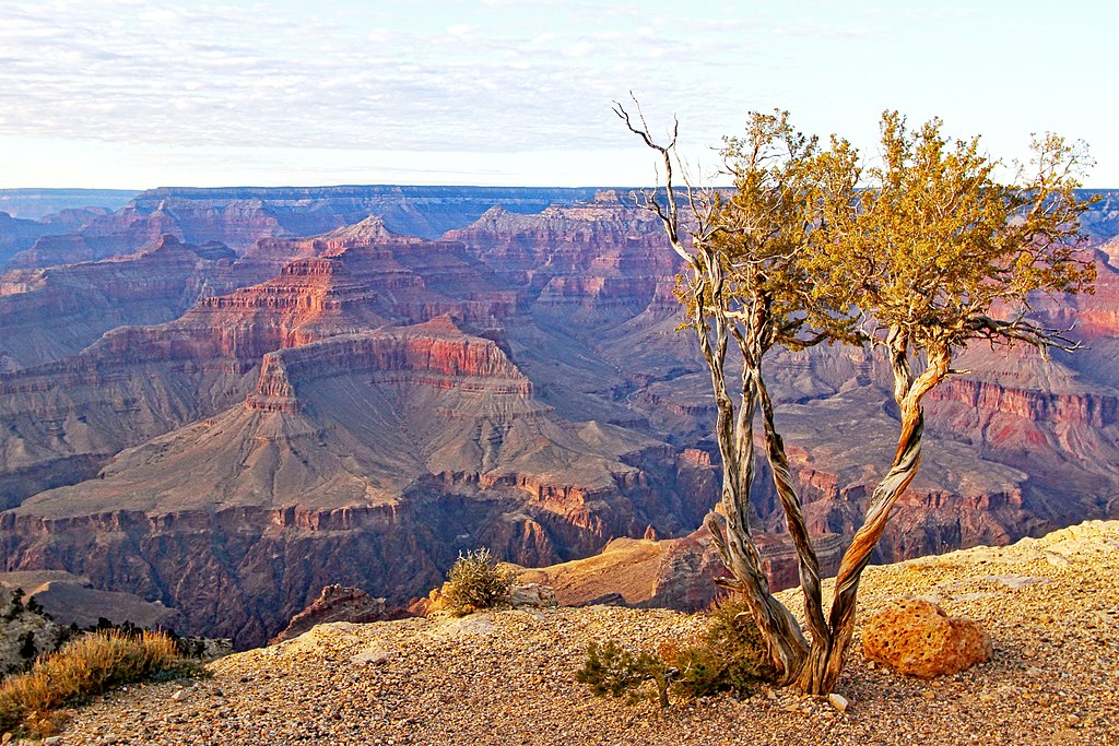 Landscape Photo of Grand Canyon National Park in Arizona, United States