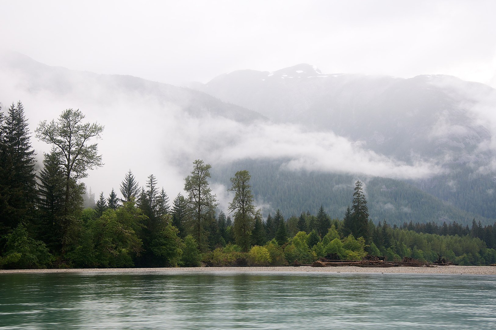 Great Bear Rainforest