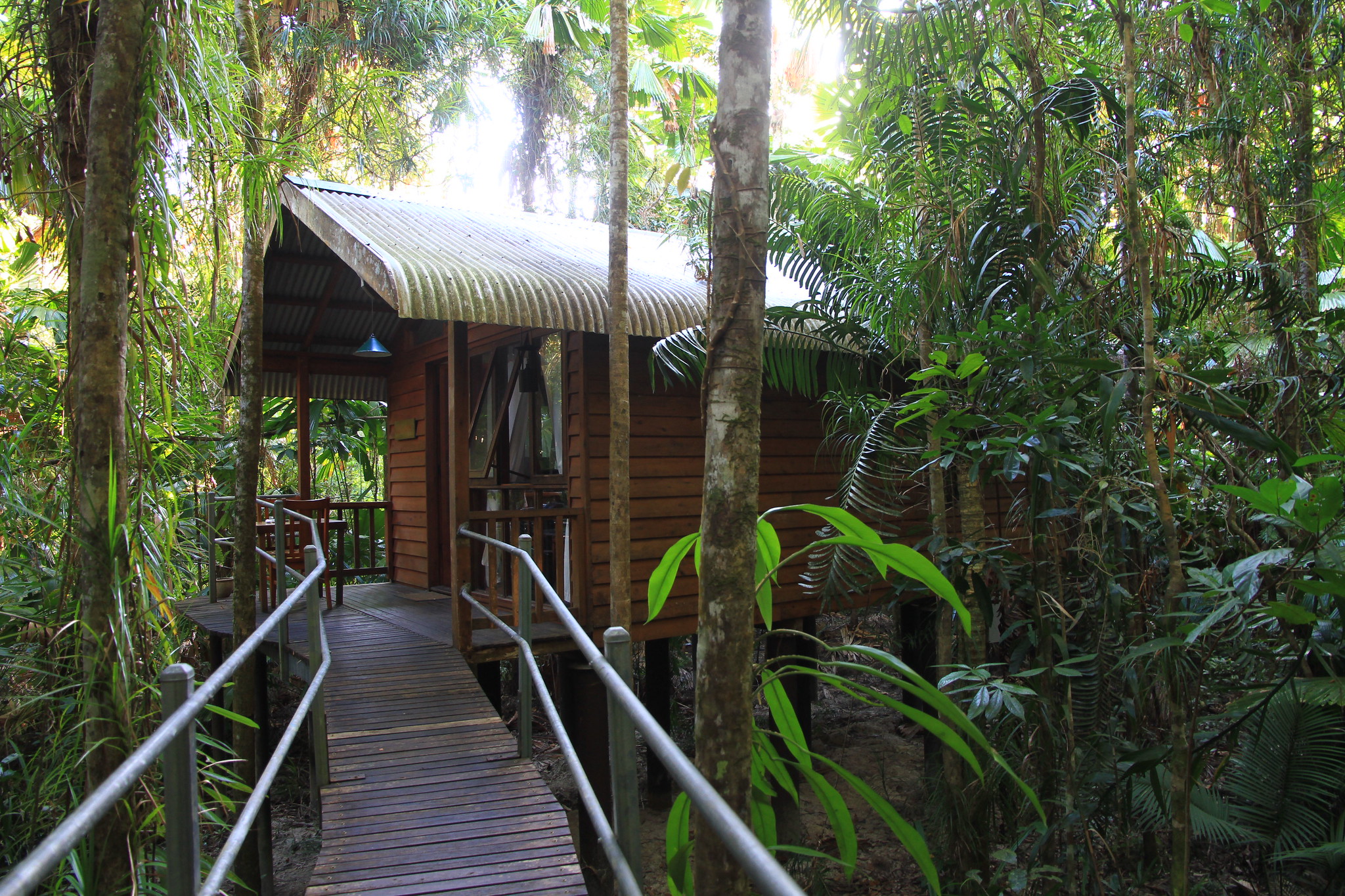 Daintree Wilderness Lodge