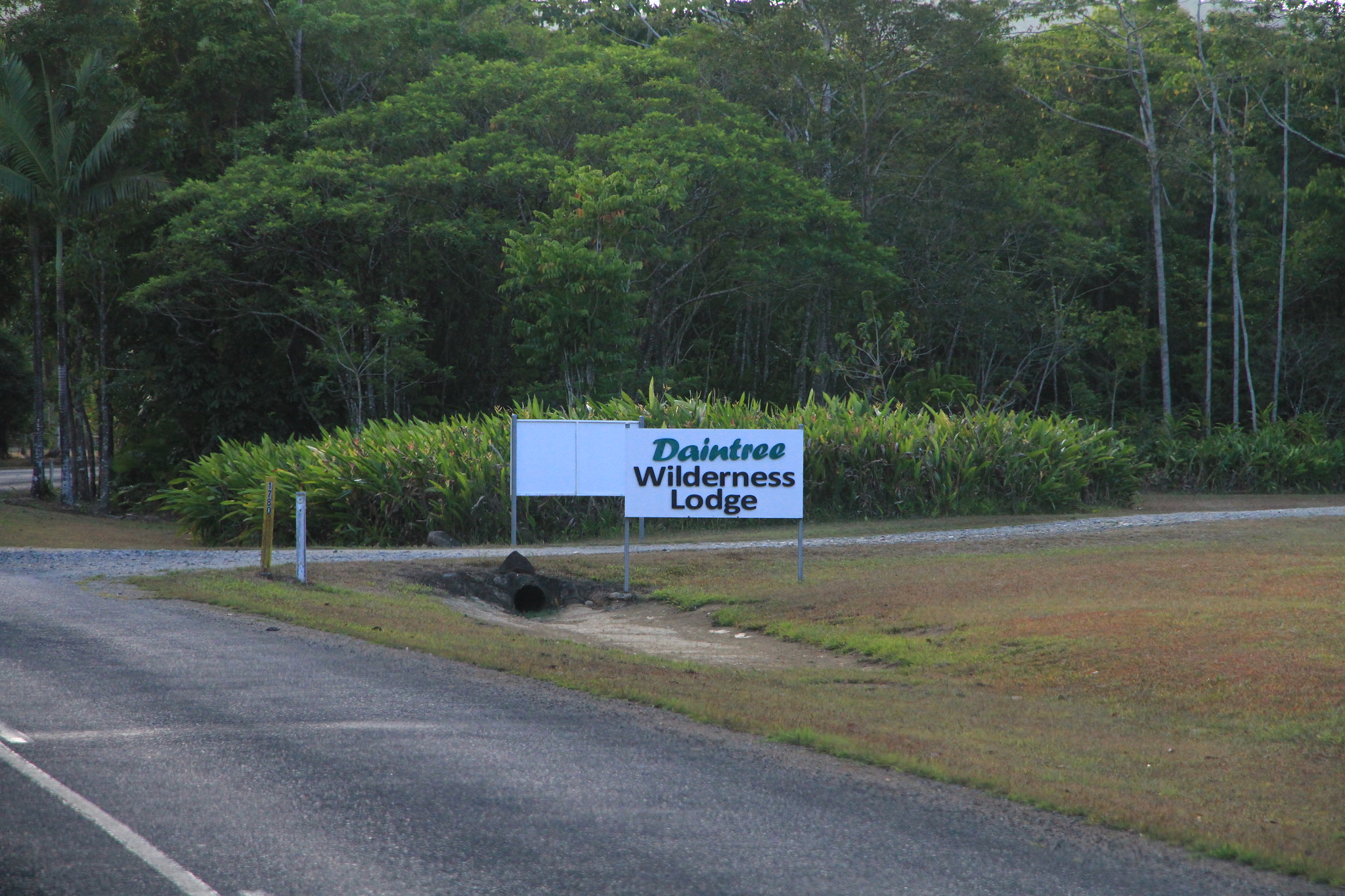 Daintree Wilderness Lodge