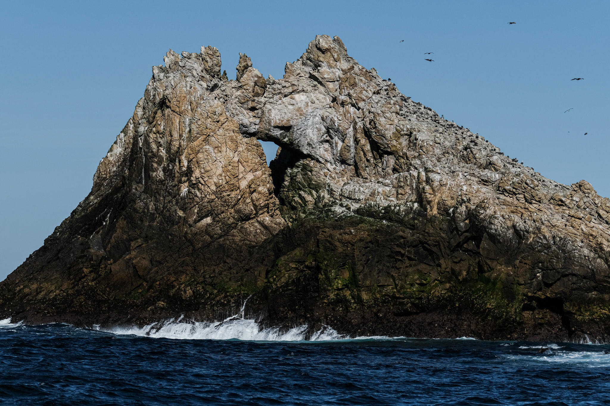Farallon Islands, San Francisco - 2021