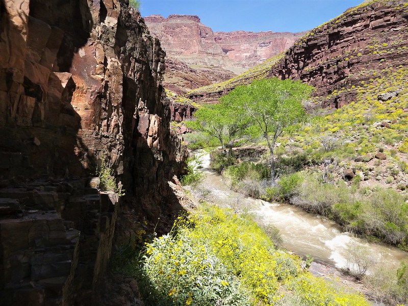 Tapeats Creek as seen from the Thunder River Trail