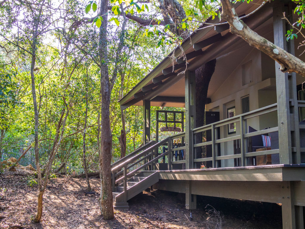 Phinda Forest Lodge