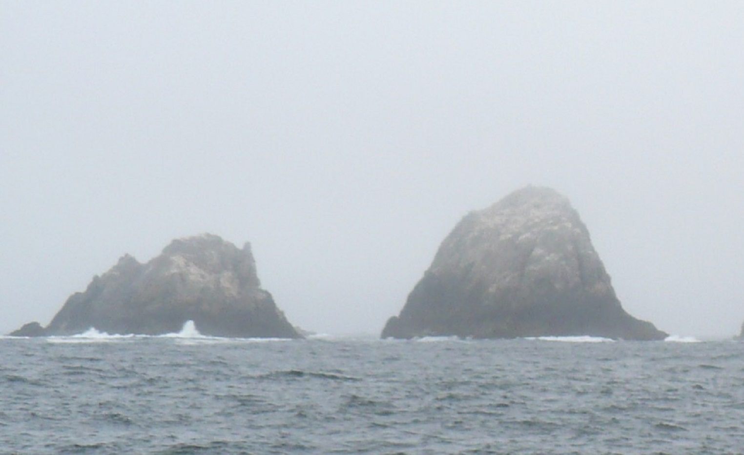 North Farallon Islands from a whale-watching boat - 2008