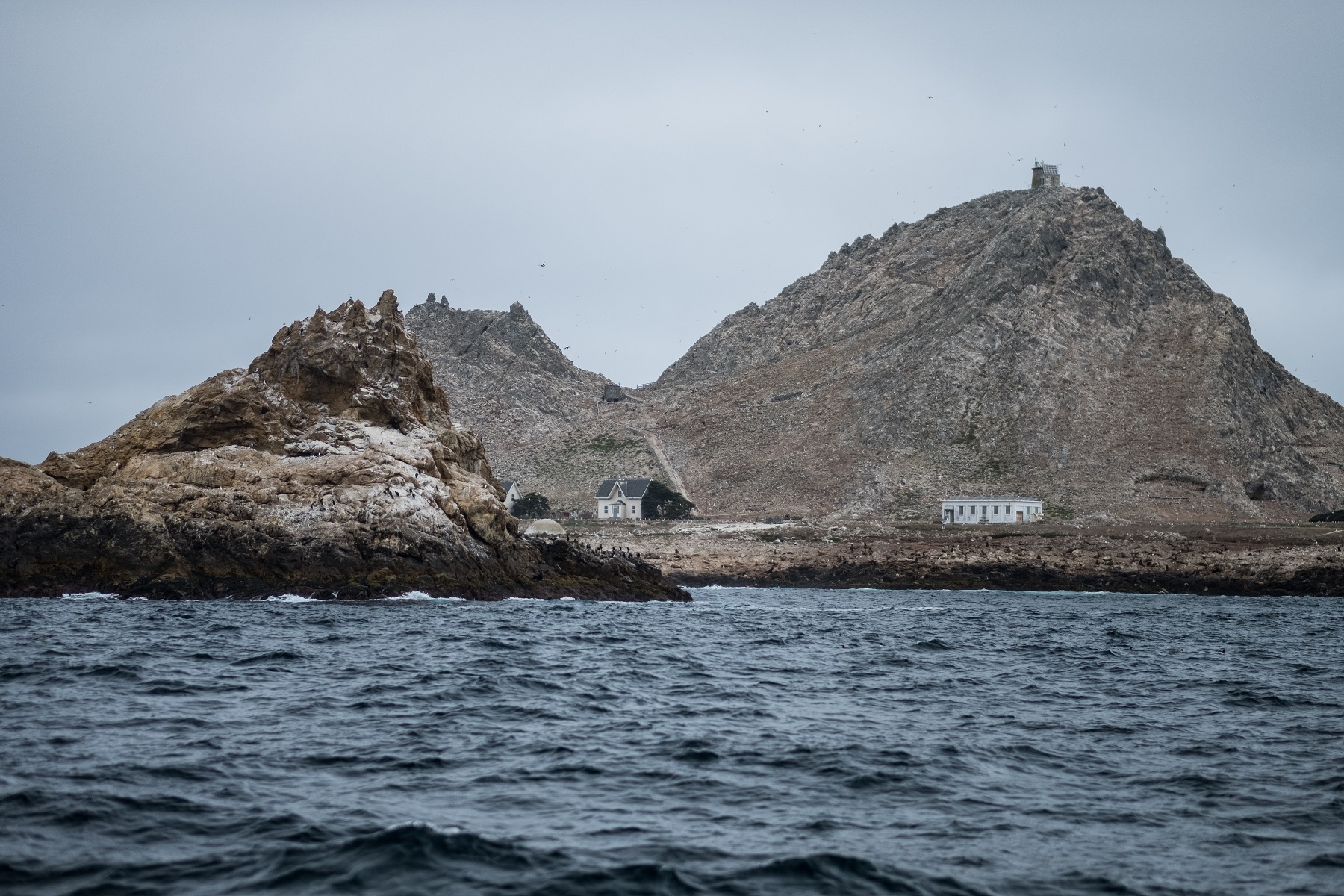 Farallon Island : California