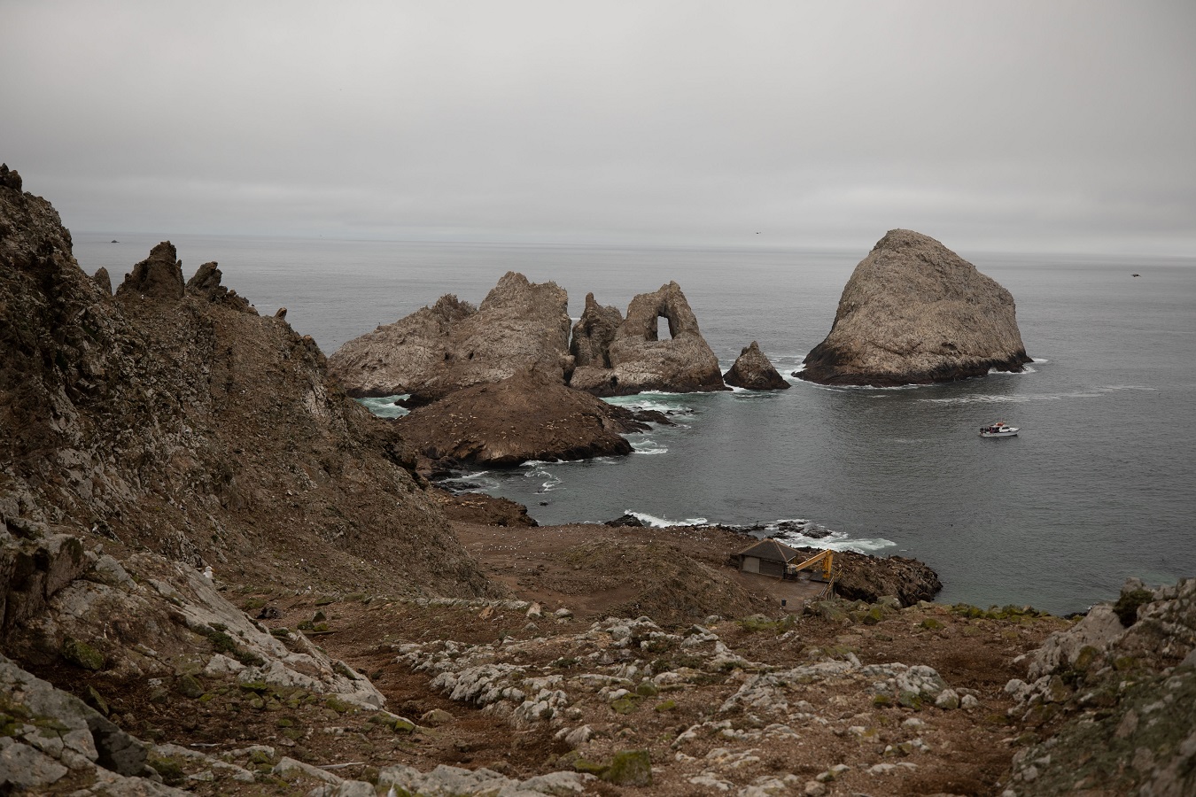Farallon Islands, California USA - September 25 2019