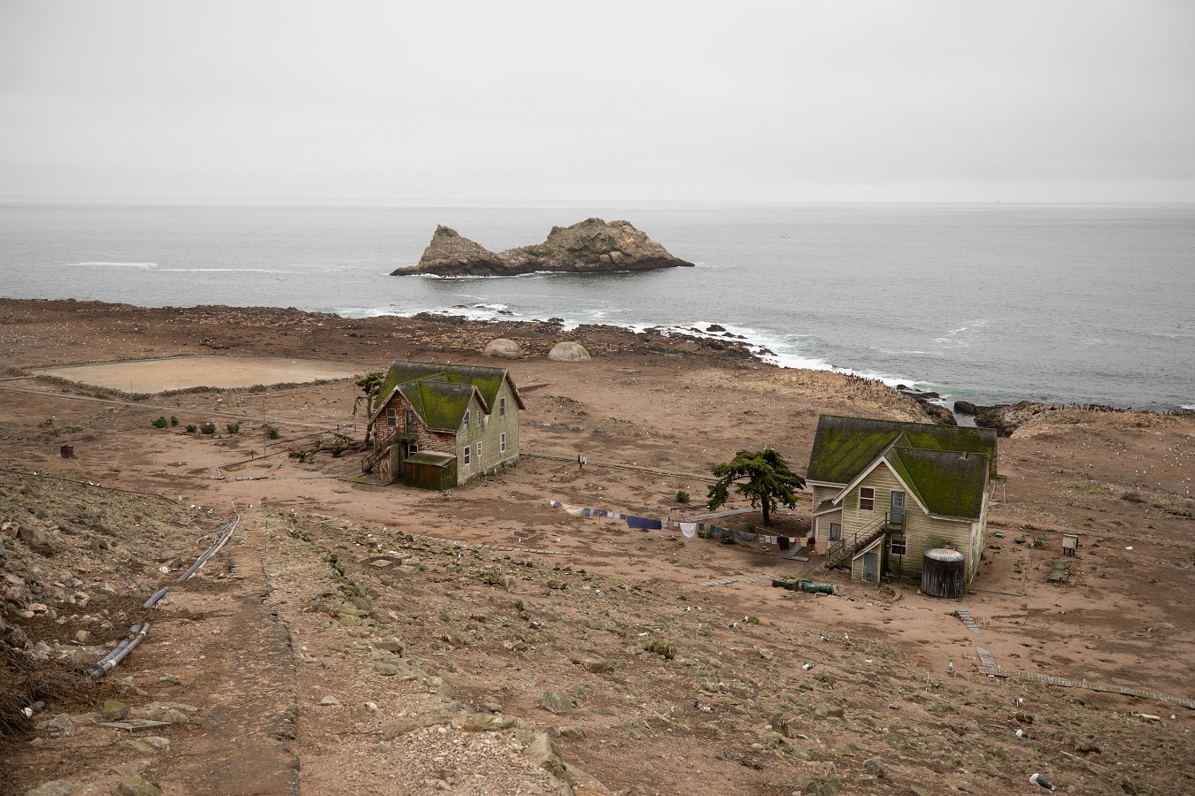 Farallon Islands are home to thousands of sea birds, 5 species of seals and massive great white sharks. - 2019