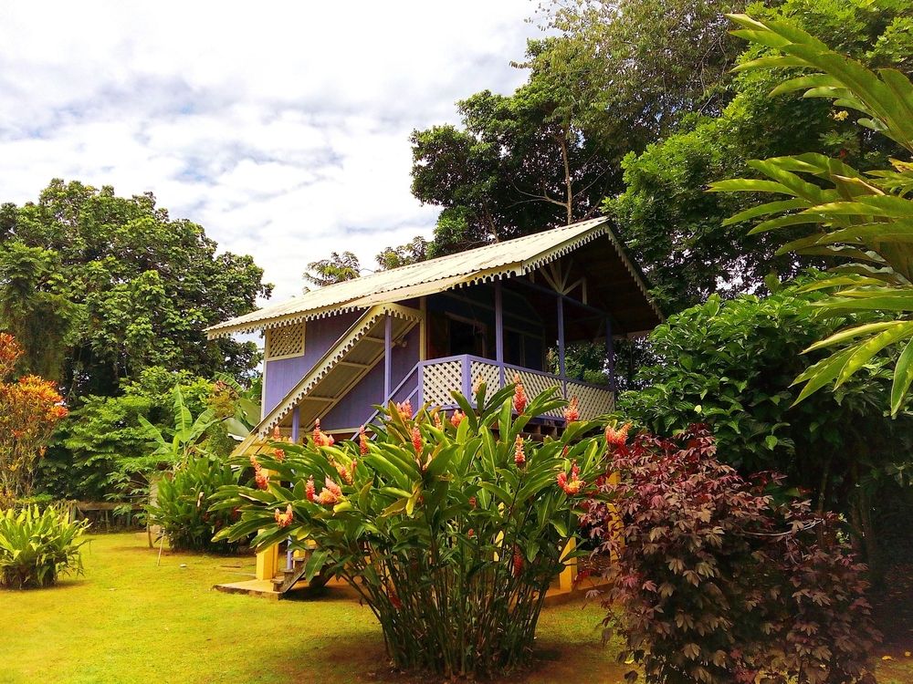 Traditional Costa Rican