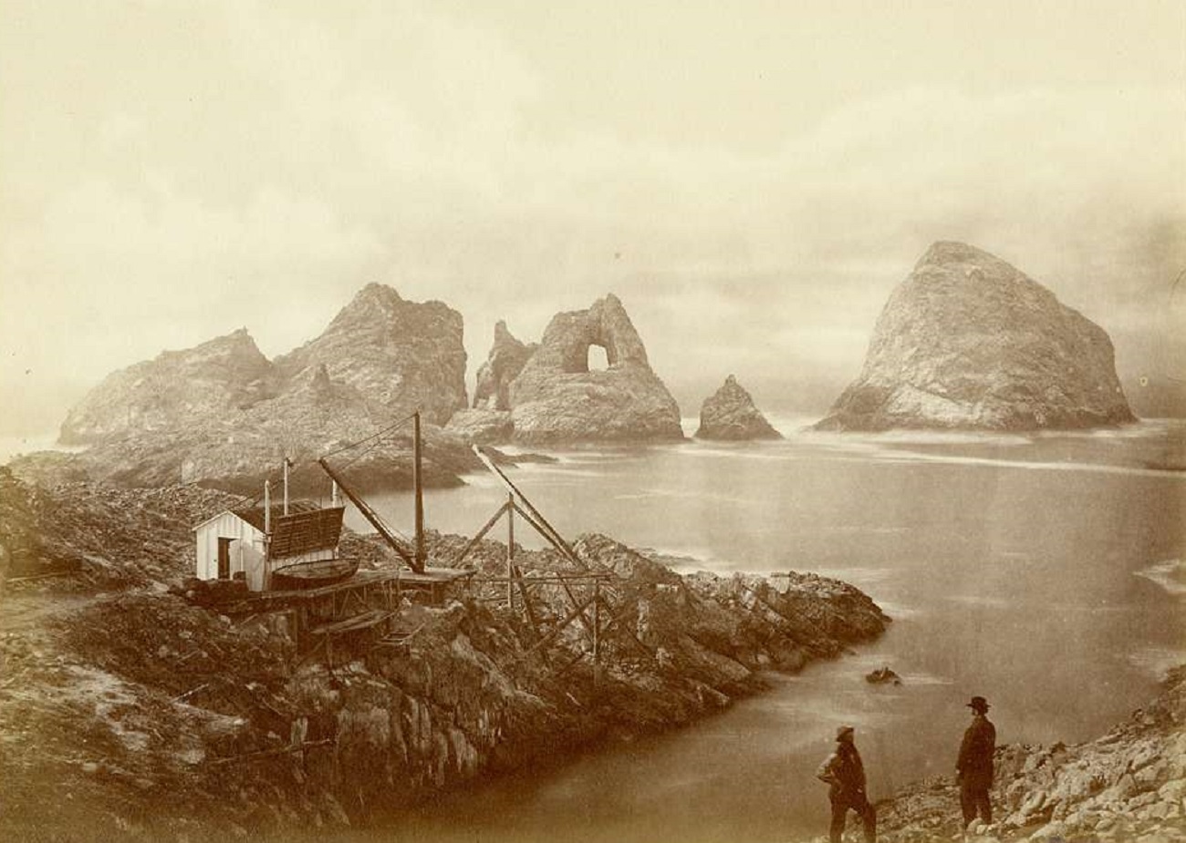 South Farallon Island landing - 1871