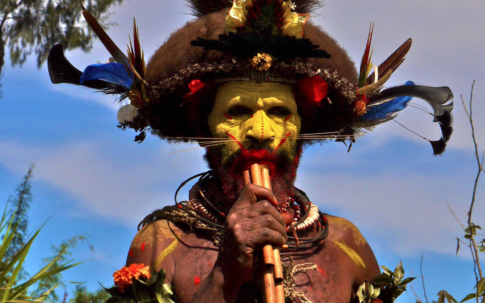 Huli man in traditional clothes