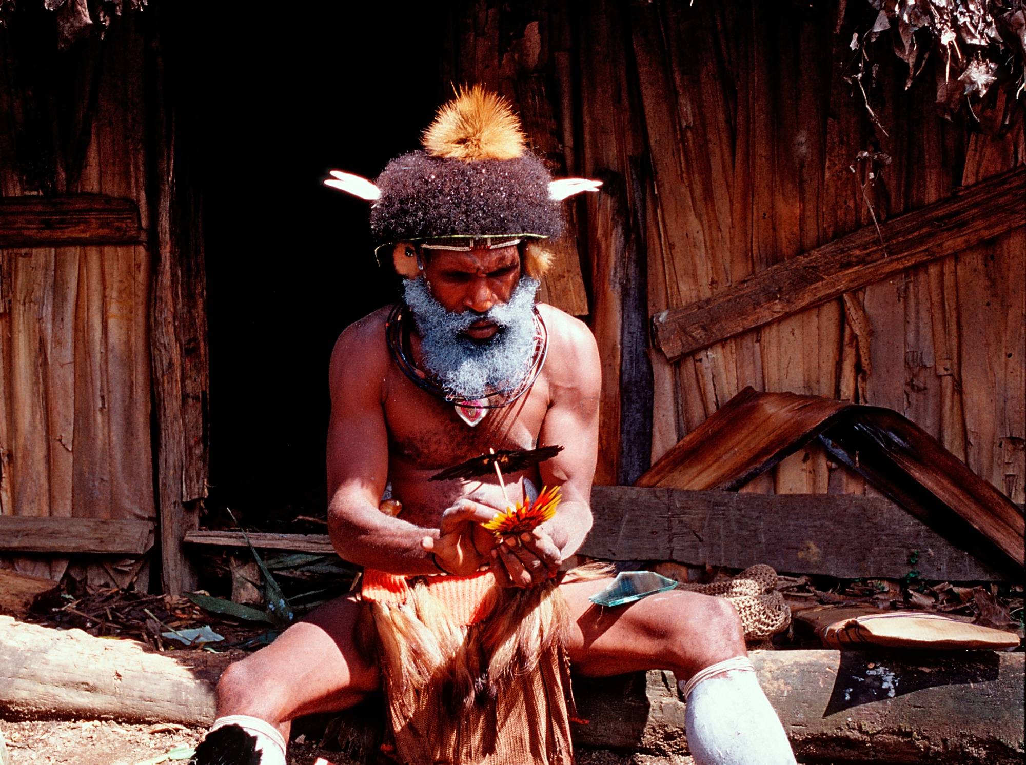 Huli wigman in traditional outfit
