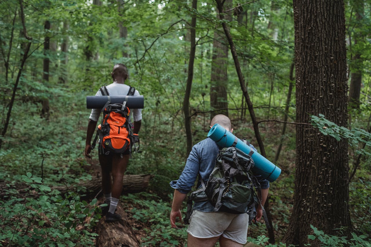 Campers walking in forest.