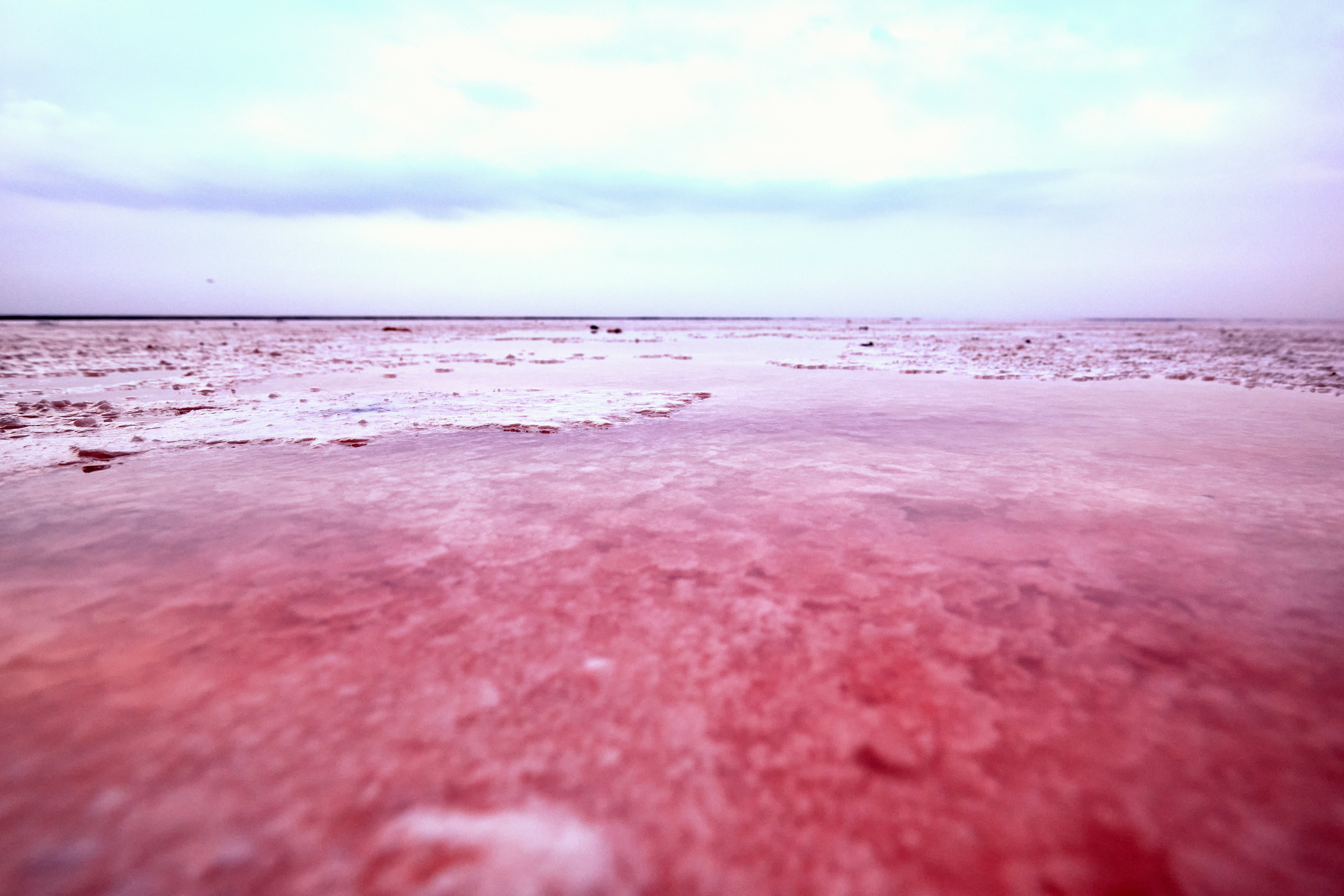 Pink Lake