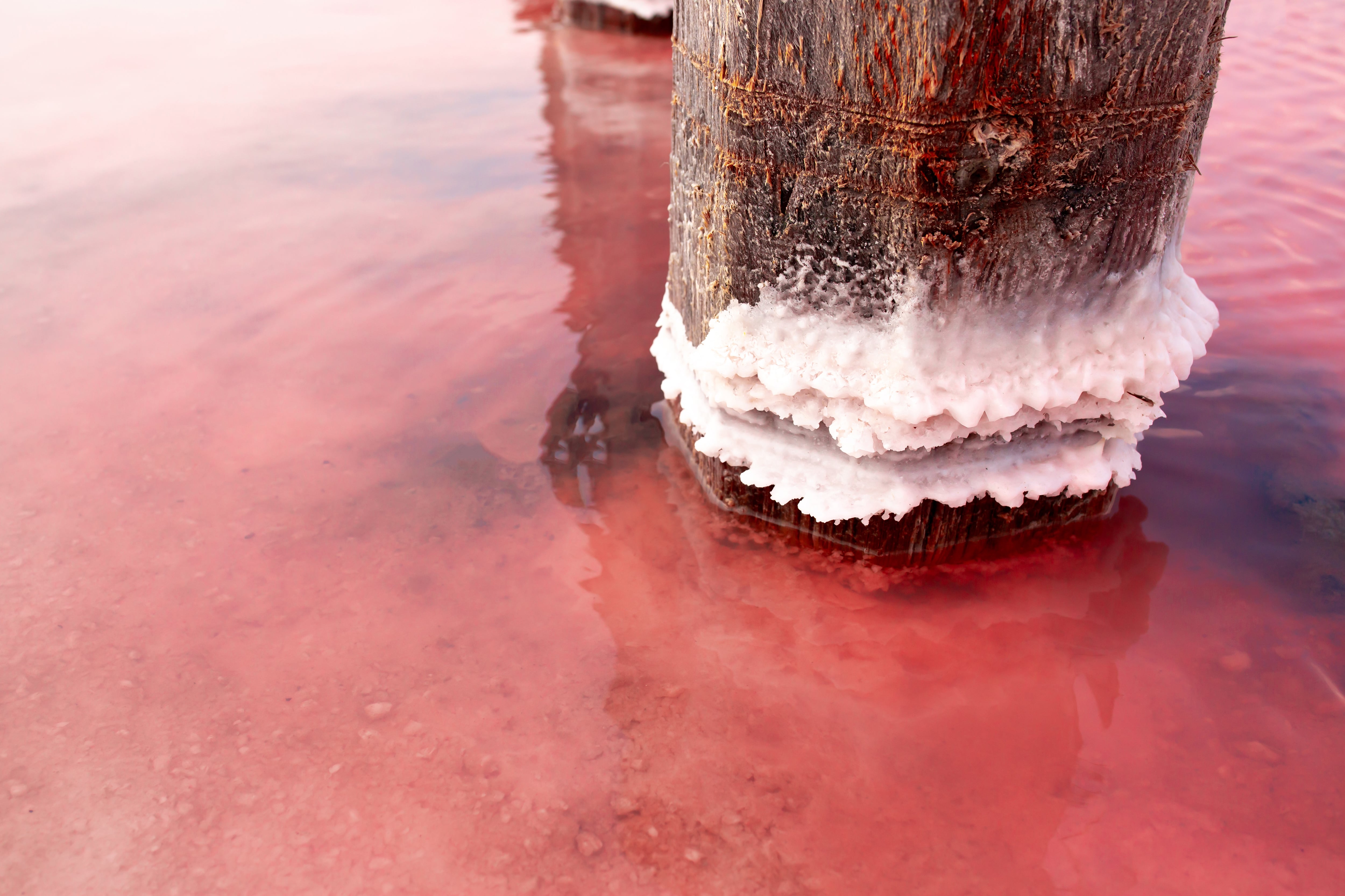 Lake Retba