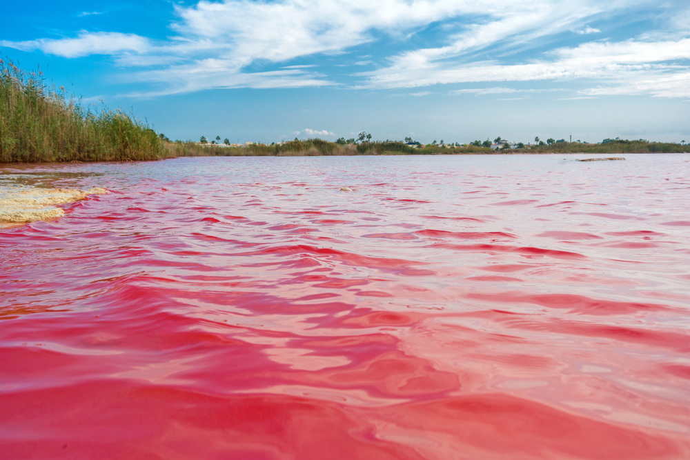 Salt lake La Salinas de La Mata of Torrevieja