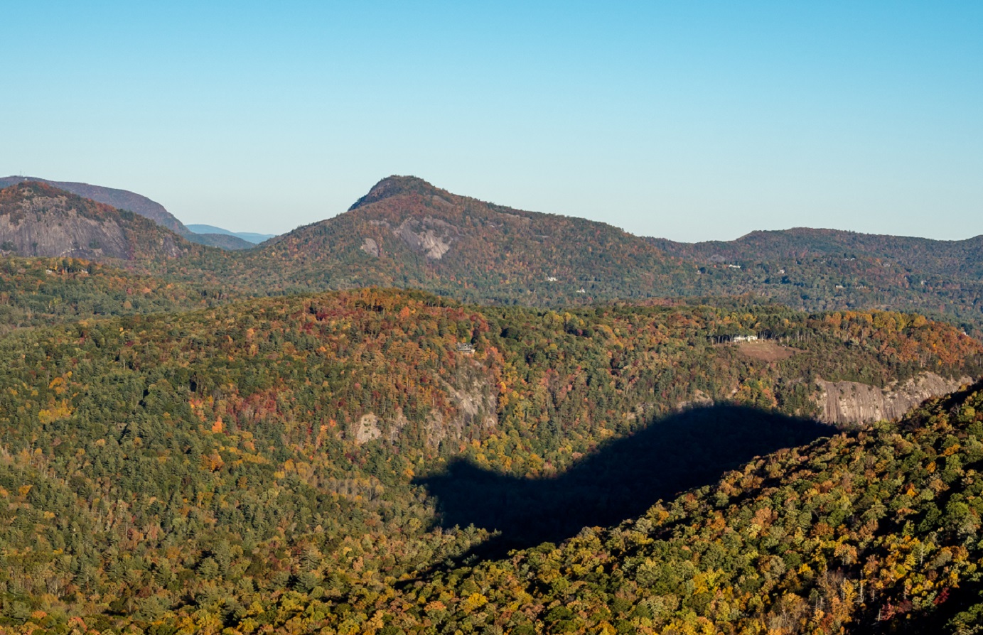 Shadow of the Bear in North Carolina.