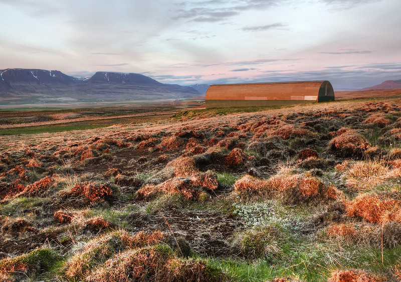 Landscape Photo of Red Fields on the Tundra in Iceland