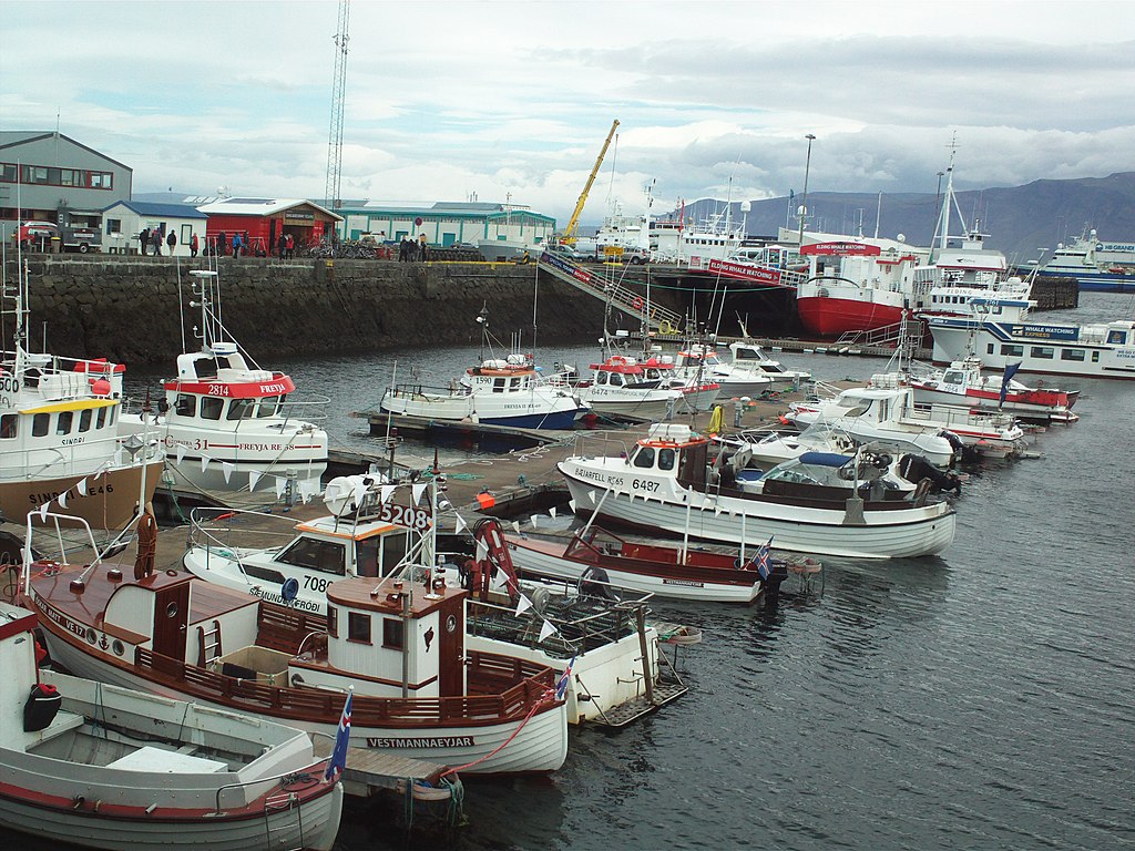 Landscape Photo of Boats moored in Reykjavik's old harbor.