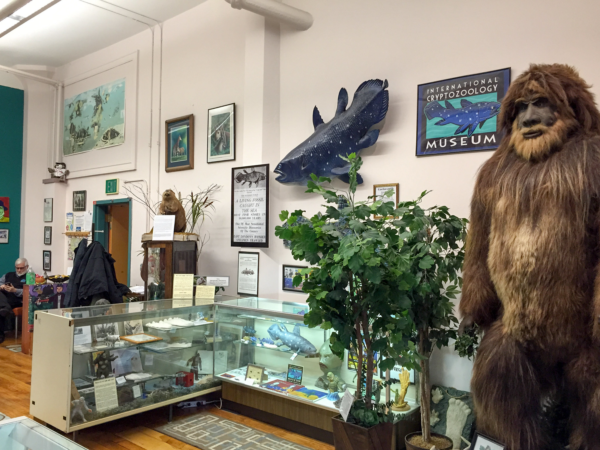 International Cryptozoology Museum - 2014