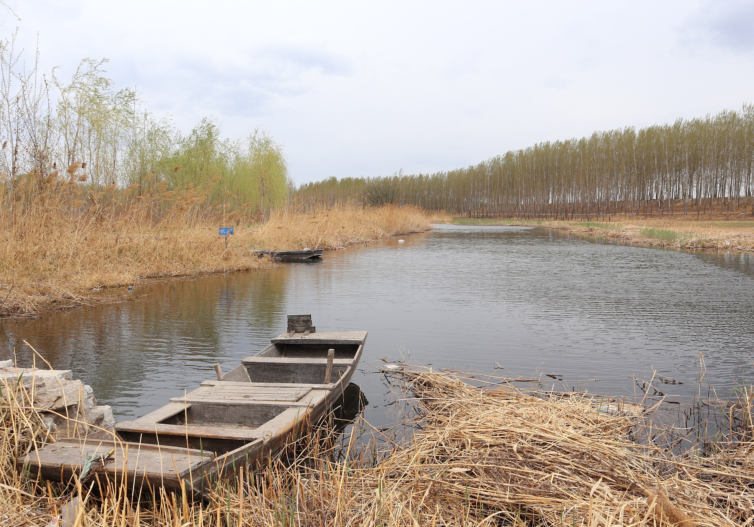 Boat On Baiyangdian, Apr 2018
