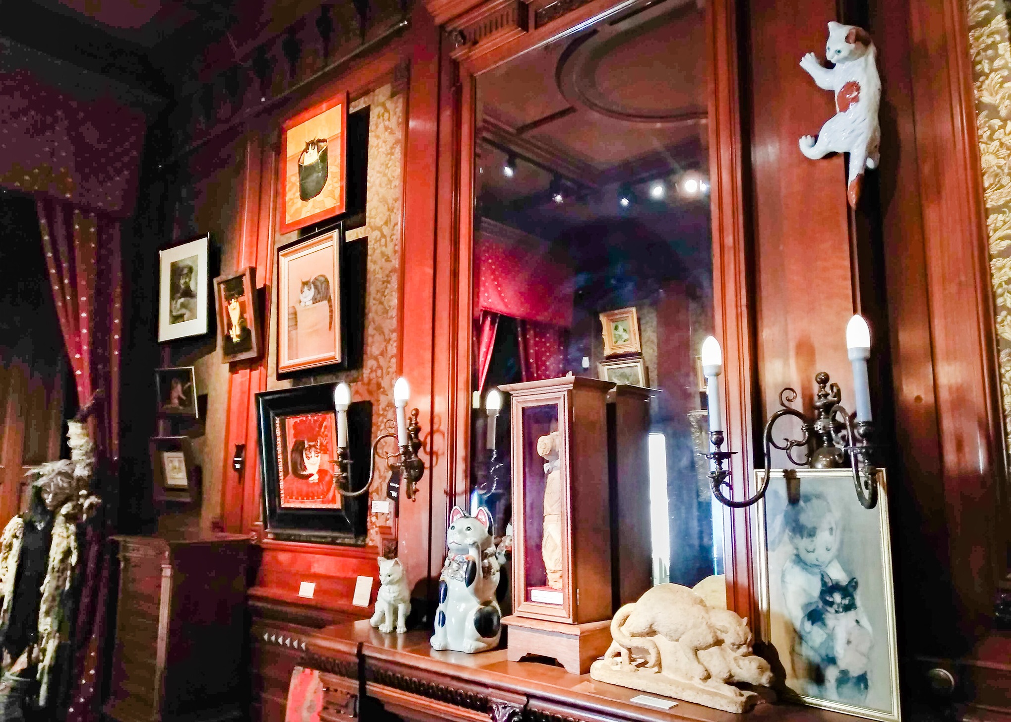 Katten Kabinet - Amsterdam - 2019