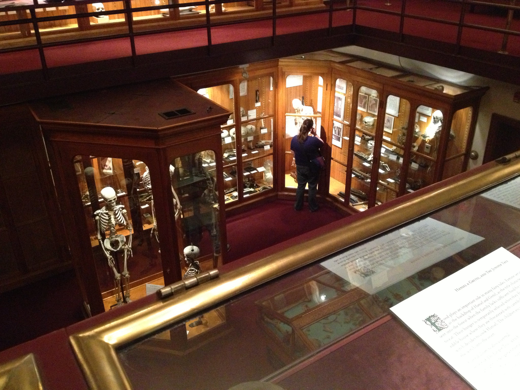 Mütter Museum - 2012