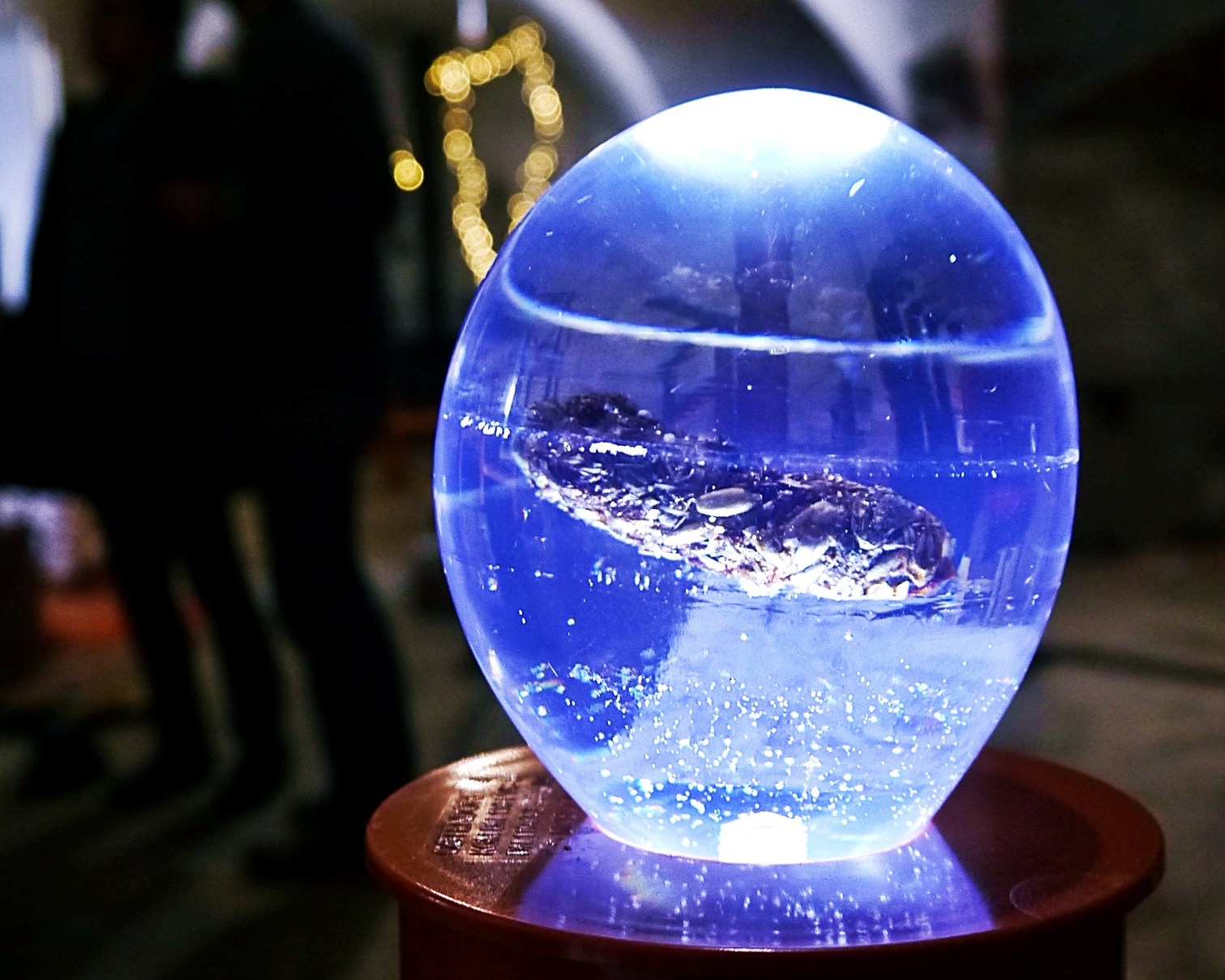 The National Poo Museum - 2019