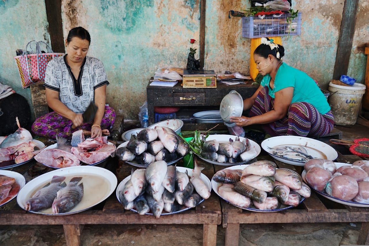 Women sitting with plates of fish in village.
