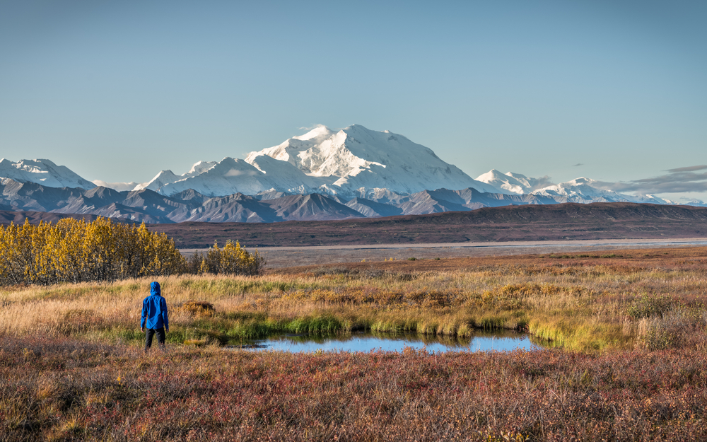 Denali National Park