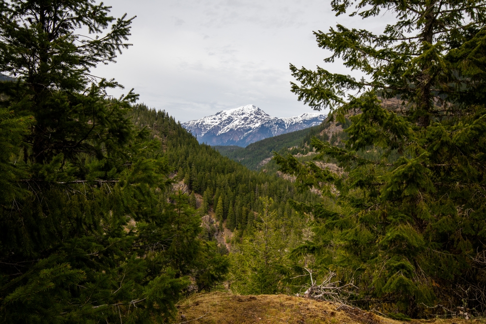 Jack mountain at North Cascades National Park